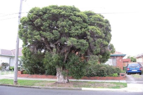 48 Bird Ave, Northcote, VIC 3070