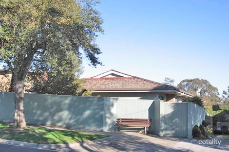 6 Joffre St, Camberwell, VIC 3124