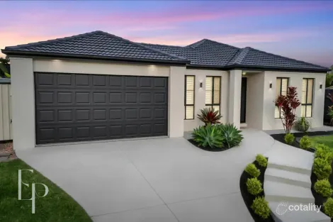 Property photo of 20 Kalmia Close Mango Hill QLD 4509