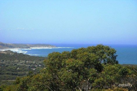 Property photo of 7 Craigdarroch Avenue Anglesea VIC 3230