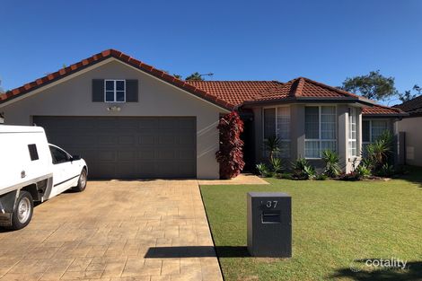Property photo of 37 Tranquility Circuit Helensvale QLD 4212