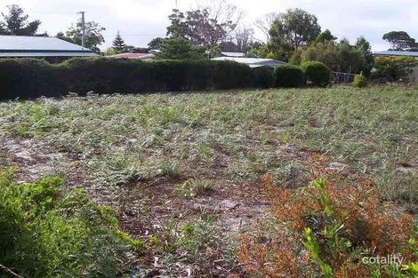 Property photo of 6 Treloggen Drive Binalong Bay TAS 7216