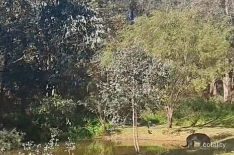 Property photo of 259 Amarillo Drive Karnup WA 6176