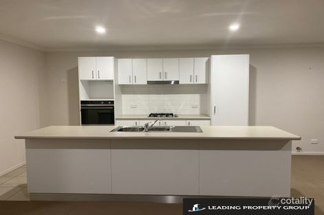 Property photo of 50 Royce Crescent Lavington NSW 2641