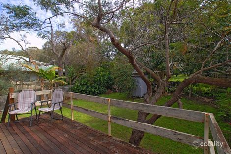 Property photo of 21 Depper Street Sunshine Beach QLD 4567