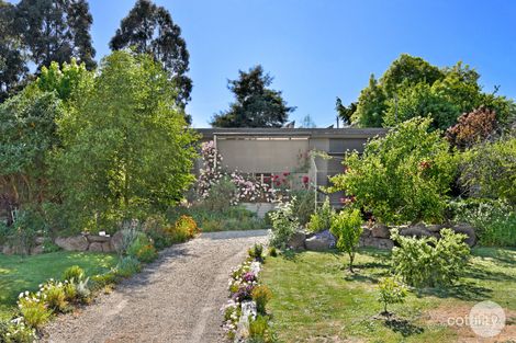 Property photo of 14 Moore Street Creswick VIC 3363