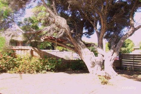 Property photo of 17 Beaver Street Ocean Grove VIC 3226