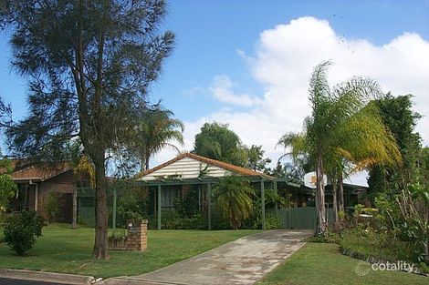 Property photo of 21 Bushtree Court Burleigh Waters QLD 4220