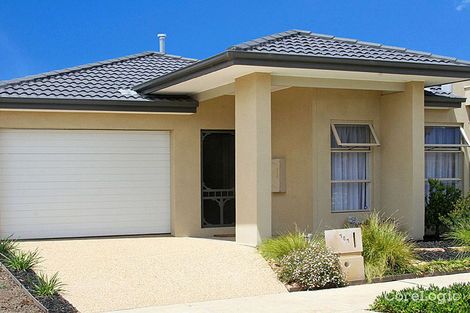 Property photo of 151 Everard Road Mernda VIC 3754