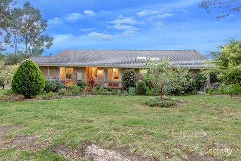 Property photo of 16 Jamieson Street Dromana VIC 3936