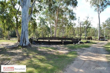 Property photo of 240 King Road Wamuran QLD 4512