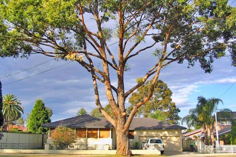 Property photo of 43 Central Road Beverly Hills NSW 2209