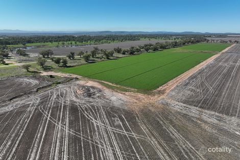 1200 Old Narrabri Rd, Baan Baa, NSW 2390
