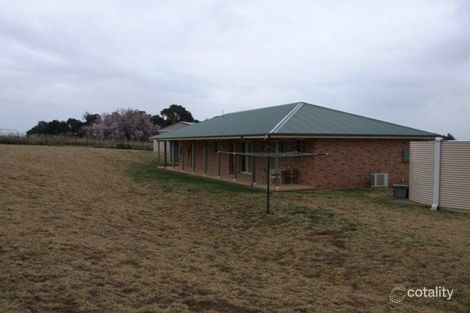 Property photo of 45 Majors Road Young NSW 2594