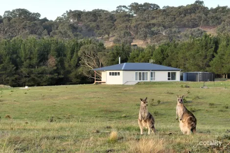 206 Berrebangalo Lane, Bellmount Forest, NSW 2581