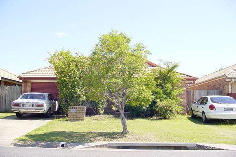 Property photo of 7 Leonardo Circuit Coombabah QLD 4216