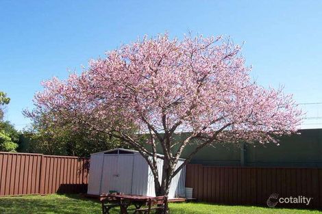 Property photo of 12 Sirius Place Riverwood NSW 2210