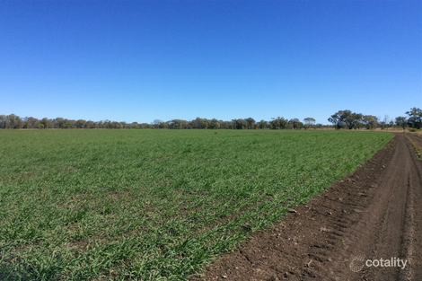 1715 Lilyvale Rd, Crinum, QLD 4723