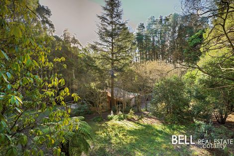 Property photo of 95 Emerald-Monbulk Road Emerald VIC 3782