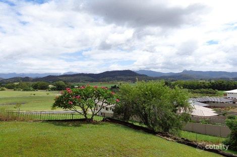 Property photo of 25 Barnby Street Murwillumbah NSW 2484