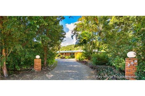 Property photo of 4 Cargill Avenue Frenchville QLD 4701