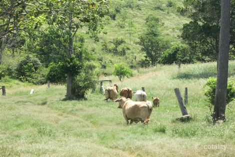 469 Cedarvale Loop, Bracewell, QLD 4695