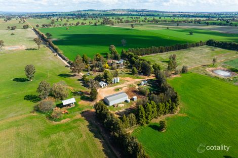 783 Munyaplah Boundary Rd, Alma Park, NSW 2659