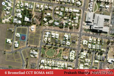 Property photo of 6 Bromeliad Circuit Roma QLD 4455