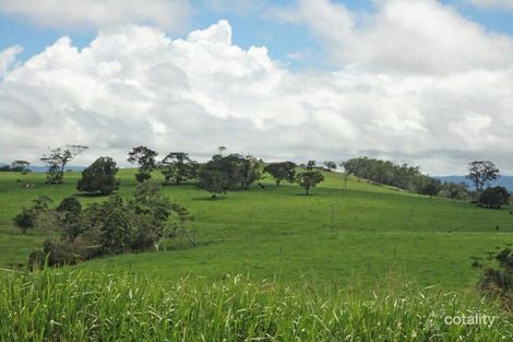 Property photo of 371 Russell Road Lake Eacham QLD 4884