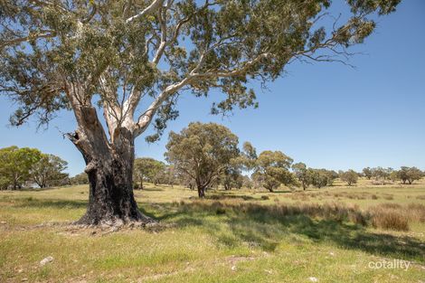7295 Rowney Rd, Keilira, SA 5275