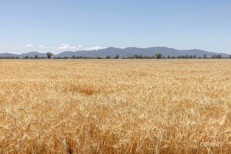 Contact Agent For Address, Wean, NSW 2382