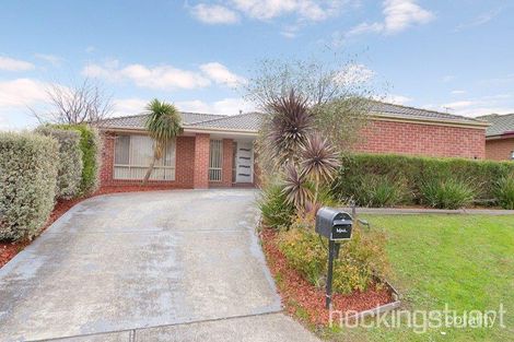 Property photo of 19 Balmaceda Court Berwick VIC 3806