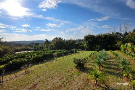 Property photo of 549 Friday Hut Road Possum Creek NSW 2479