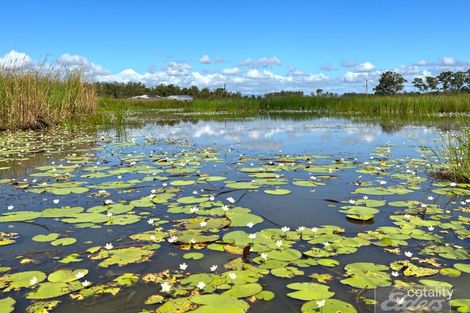 Property photo of 224 Gleneagles Drive Curra QLD 4570