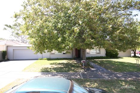 Property photo of 16 Pine Avenue Novar Gardens SA 5040