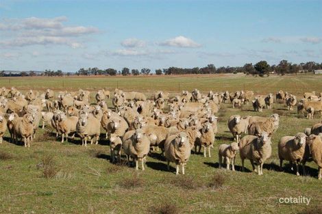 106 Tilyards Lane, Berry Jerry, NSW 2701