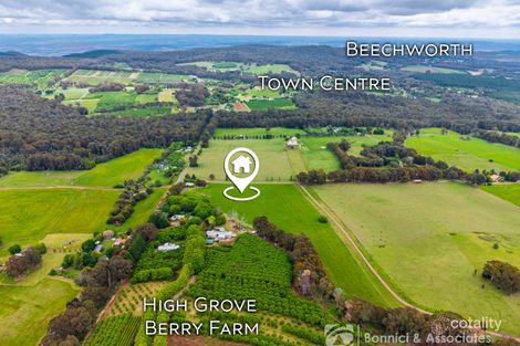 Property photo of 4 Sinclair Road Stanley VIC 3747