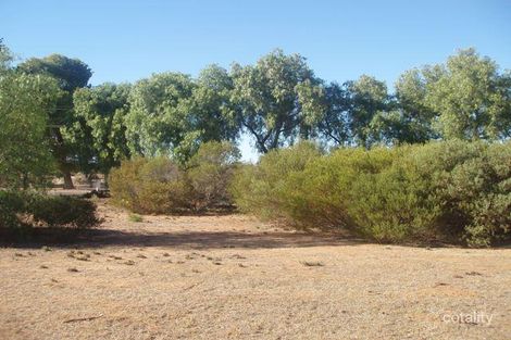 6 Showground Rd, Swan Reach, SA 5354