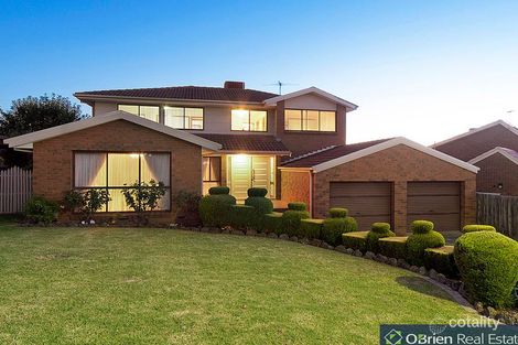 16 Hensley Ct, Endeavour Hills, VIC 3802