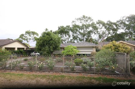 13 Pankina Gr, Marion, SA 5043