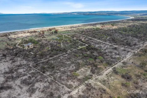 Property photo of 489 Dolphin Sands Road Dolphin Sands TAS 7190