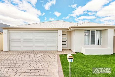 16 Amaranthus Rd, Seville Grove, WA 6112