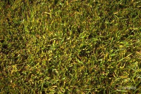 245-249 Learmonth Rd, Wendouree, VIC 3355