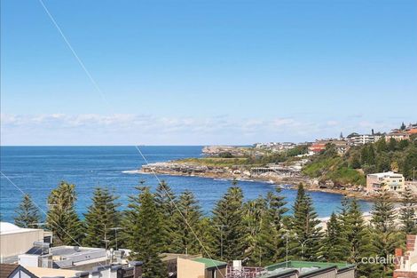 Property photo of 6/174 Arden Street Coogee NSW 2034