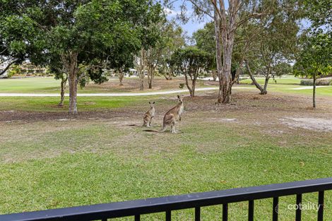 Property photo of 15 Midden Place Pelican Waters QLD 4551