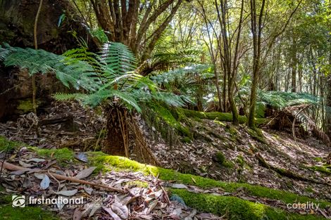 Property photo of Resolution Road Adventure Bay TAS 7150