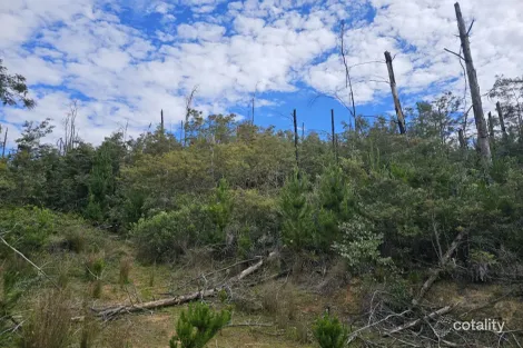 Cottams Rd, Batlow, NSW 2730