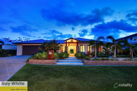 Property photo of 42 Settler Street Eight Mile Plains QLD 4113
