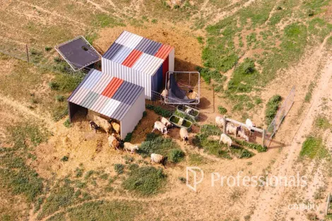 Property photo of 2875 Eleventh Street Irymple VIC 3498
