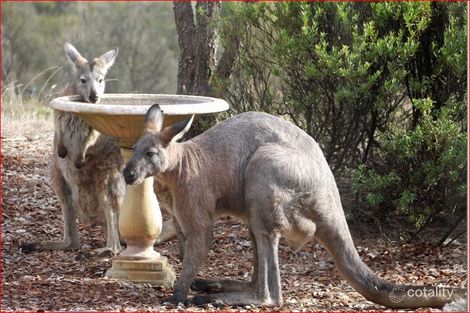 670 Mine Hill Rd, Tumby Bay, SA 5605